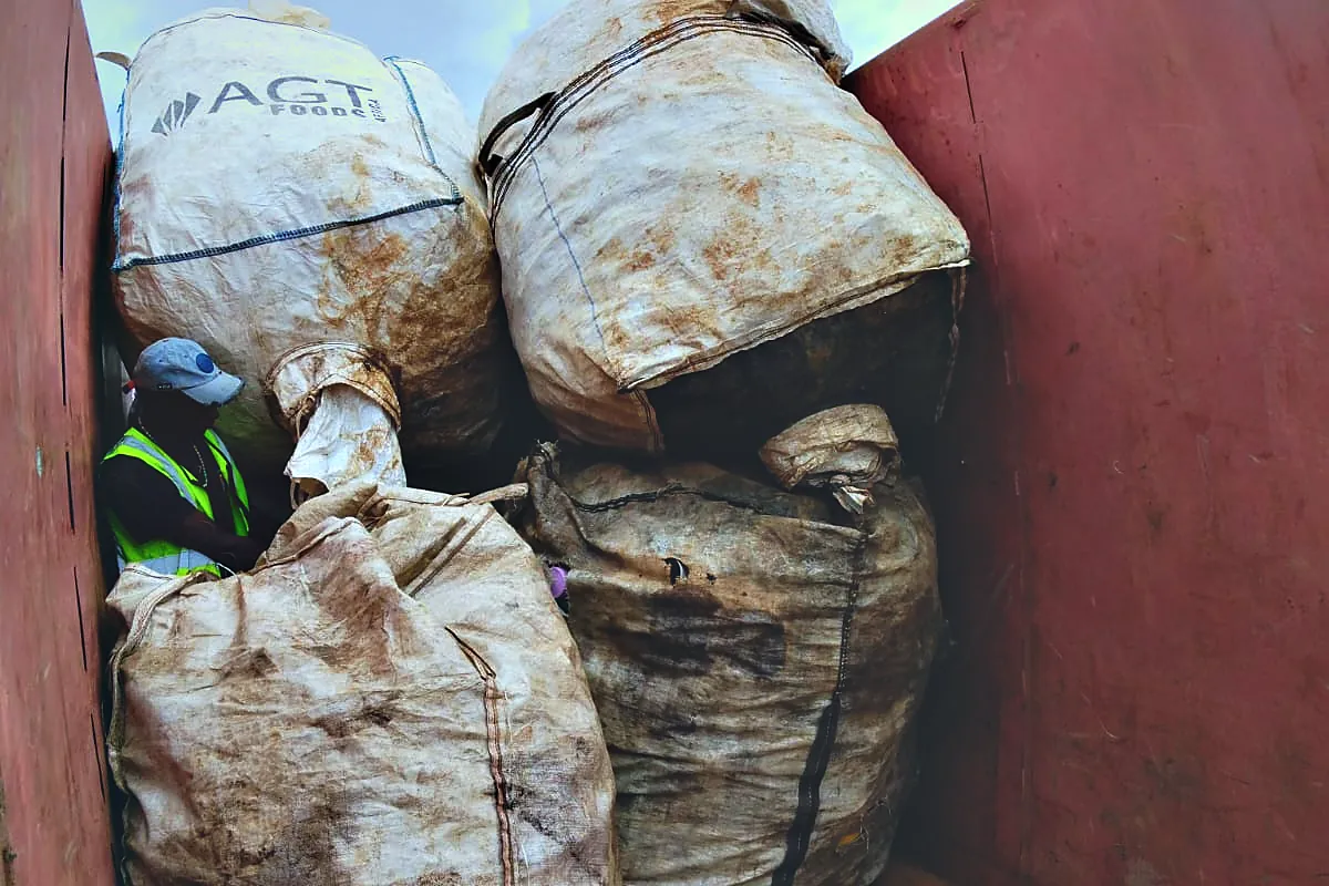 Bulk bags loaded inside a closed container body for secure transport.